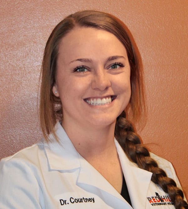 Dr. Jessie Courtney Gillette Veterinarian