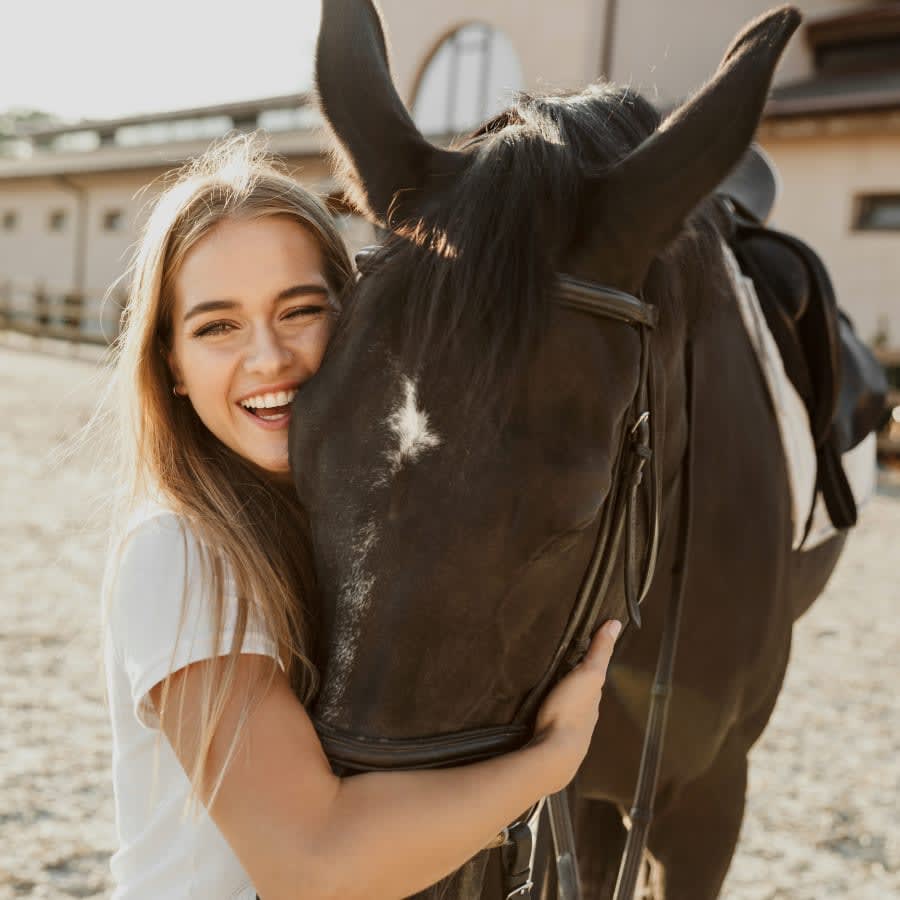 Equine Pre-purchase Exams, Gillette Vets